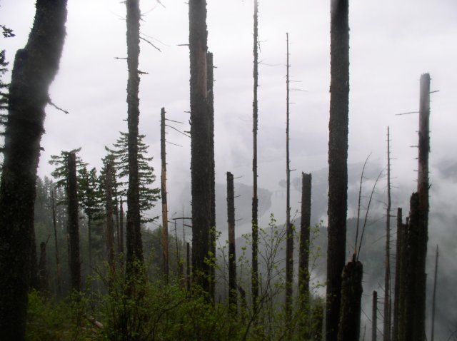 5.7.06 Wauna Point 016 